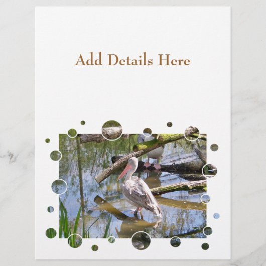PELICANS FLYER (Vorne)
