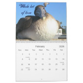 Pelican's & Friends_2010 Kalender (Feb 2026)