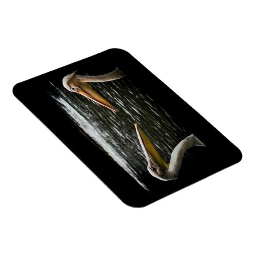 PELICANS LIEBER MAGNET (Rechte Seite)