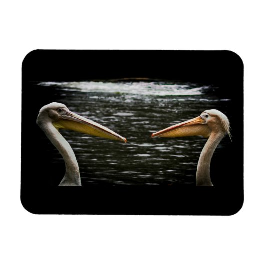 PELICANS LIEBER MAGNET (Horizontal)