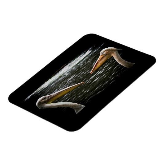 PELICANS LIEBER MAGNET (Linke Seite)