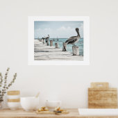 Pelicans Poster (Küche)