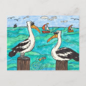 Pelicans Postkarte (Vorderseite)