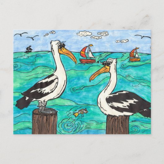 Pelicans Postkarte (Vorderseite)