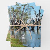 Pelicans Sunbaking River Murray, Gift Wrap Sheets Geschenkpapier Set (Beispiel)