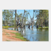 Pelicans Sunbaking River Murray, Gift Wrap Sheets Geschenkpapier Set (Vorderseite)