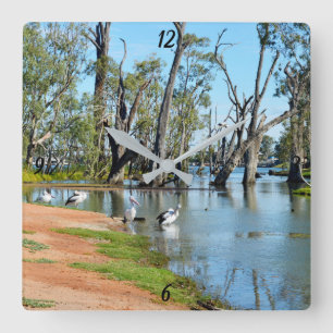 Pelicans Sunbaking River Murray,  Wall Clock Quadratische Wanduhr