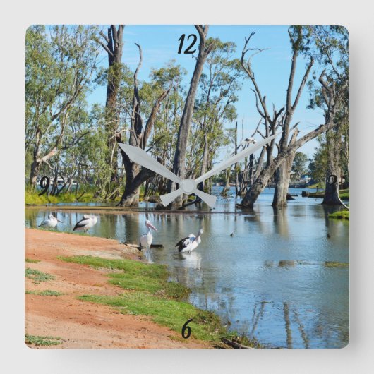 Pelicans Sunbaking River Murray,  Wall Clock Quadratische Wanduhr (Vorderseite)