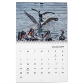 Pelicans Wall Calendar Kalender (Jan 2027)