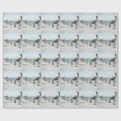 Pelikan-33 Geschenkpapier (Flach)