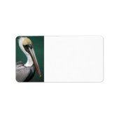 Pelikan Adressaufkleber (Vorne)