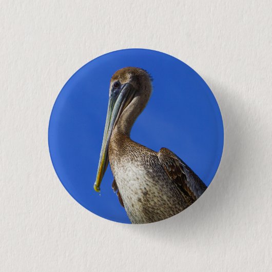 Pelikan an der Extremität Button (Vorderseite)