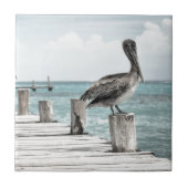 Pelikan an der Küste Fliese (Vorderseite)