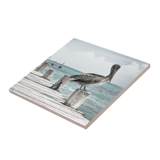 Pelikan an der Küste Fliese (Seite)