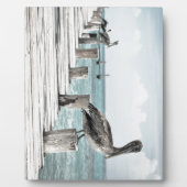 Pelikan an der Küste Fotoplatte (Vorderseite)