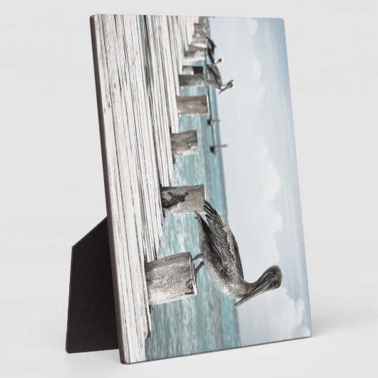 Pelikan an der Küste Fotoplatte (Seite)