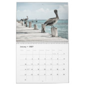 Pelikan an der Küste Kalender (Jan 2027)