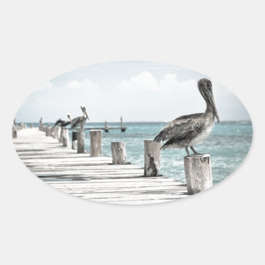 Pelikan an der Küste Ovaler Aufkleber (Vorderseite)