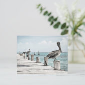 Pelikan an der Küste Postkarte (Stehend Vorderseite)