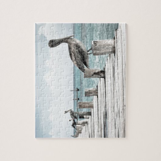 Pelikan an der Küste Puzzle (Vertikal)