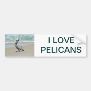 Pelikan auf äußeren Banken OBX NC Autoaufkleber