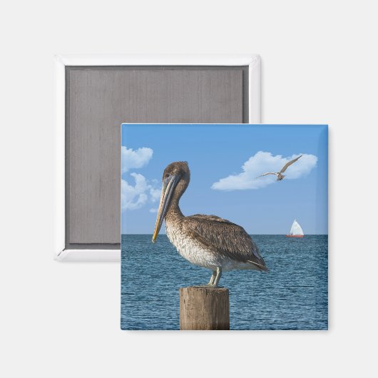 Pelikan auf dem Postmagnet Magnet (Vorderseite/Rückseite)