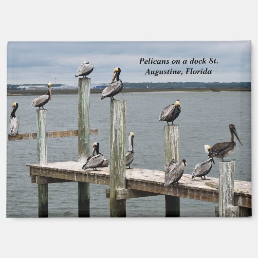 Pelikan auf einem Dock Magnet (Vorderseite)