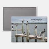 Pelikan auf einem Dock Magnet (Vorderseite/Rückseite)