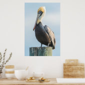 Pelikan auf Pylon sitzend Poster (Küche)