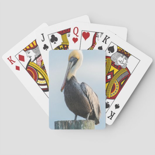 Pelikan auf Pylon Spielkarten (Rückseite)
