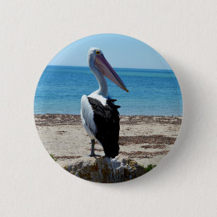 Pelikan auf Strandfelsen, Button