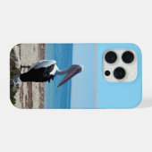 Pelikan auf Strandfelsen, iPhone Hülle (Rückseite (Horizontal))