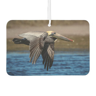 Pelikan Autolufterfrischer