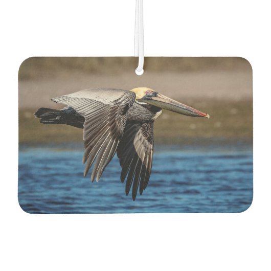 Pelikan Autolufterfrischer (Vorderseite)