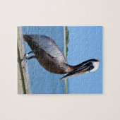 Pelikan bei Southport Puzzle (Horizontal)