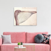 Pelikan, c.1590 leinwanddruck (Insitu (Wohnzimmer))