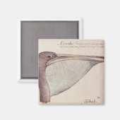 Pelikan, c.1590 magnet (Vorderseite/Rückseite)