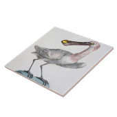 Pelikan, c.1767-76 (Hand farbiger Stich) Fliese (Seite)