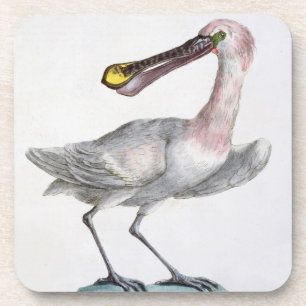 Pelikan, c.1767-76 (Hand farbiger Stich) Getränkeuntersetzer