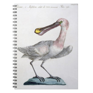 Pelikan, c.1767-76 (Hand farbiger Stich) Notizblock