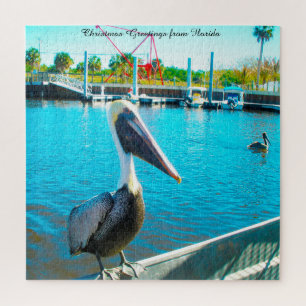 Pelikan Florida  Puzzle