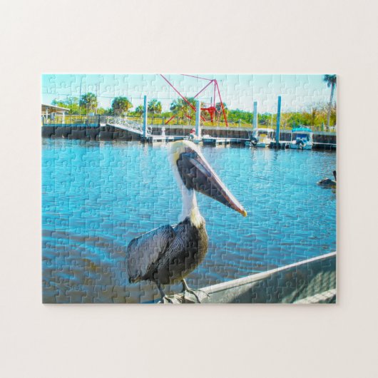 Pelikan Florida Puzzle (Horizontal)