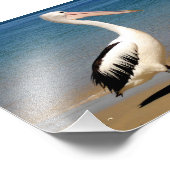 Pelikan Fotodruck (Ecke)