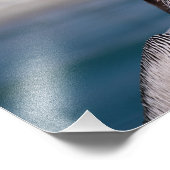 Pelikan Fotodruck (Ecke)