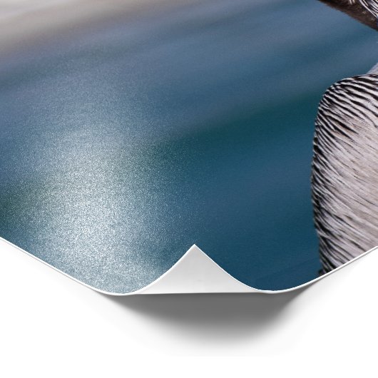 Pelikan Fotodruck (Ecke)