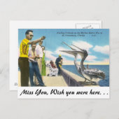 Pelikan fütternd in Florida Postkarte (Vorne/Hinten)