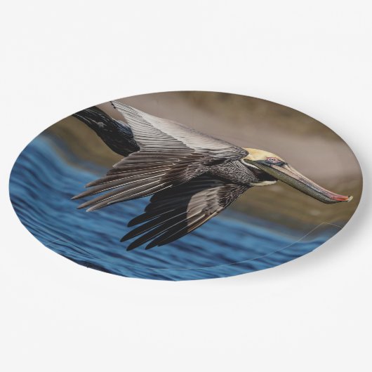 Pelikan im Flug Pappteller (Schrägansicht)