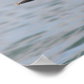 Pelikan im Flug Poster (Ecke)