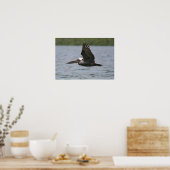 Pelikan im Flug Poster (Küche)