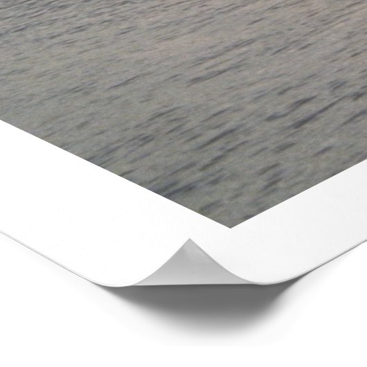 Pelikan in der Mitte Poster (Ecke)